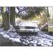1973 Ford Ranchero - A 1972 Ford Ranchero sits covered in snow, parked outdoors next to trees and a wooden staircase.