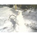 snowman-jan-7-08-.pg.jpg 