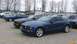 2003 Ford Crown Victoria - Several blue Ford Mustangs are parked in a lot under a cloudy sky.