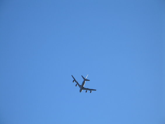 img_6191.jpg 