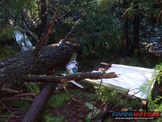 Fallen trees and debris cover the ground in a wooded area, with a white object and a bucket visible