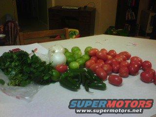 salsa-stuffs.jpg 