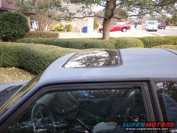 Car sunroof with reflection of trees and sky. Other vehicles visible in background