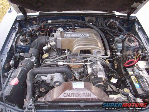 Ford 5.0 HO engine bay with intake manifold and fan shroud visible
