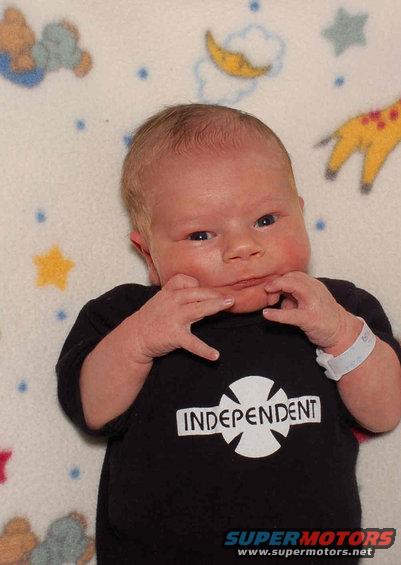 logan-001.jpg independent
