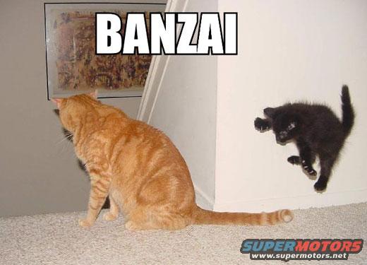 banzai.jpg 