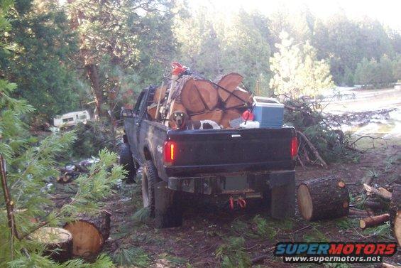 1994 Ford F-150 pickup truck loaded with logs and a cooler, parked in a wooded area with felled trees