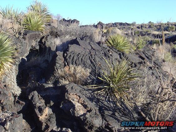 Rocky desert landscape with yucca plants and dry brush under a clear blue sky