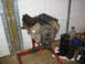 1984 Ford LTD - stock 5.0l with new chain and gaskets