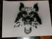 1995 Ford Probe - This is a stencil of a wolf's head, not a vehicle.