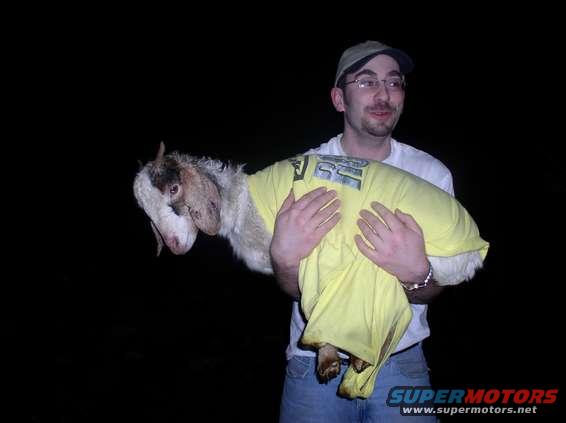 mable3.jpg Poor Mable....