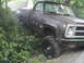 1980 Dodge Magnum - This pickup truck, likely from the early 1970s, is partially obscured by overgrown plants and shows signs of wear and tear.