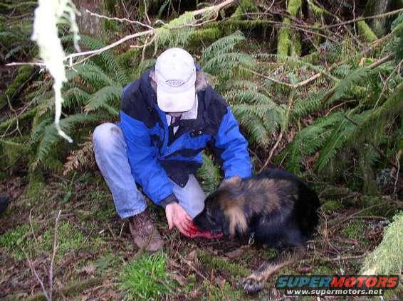 wheeln06.jpg Rocky got cut