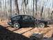 1987 Volkswagen Scirocco - A black 1987 Volkswagen Scirocco is parked in a wooded area, its side profile visible amongst the trees and fallen leaves.
