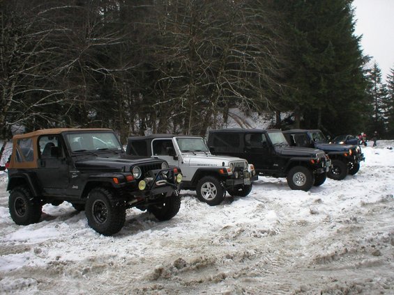 Several Jeep Wranglers parked in a snowy area with trees in the background. One is silver and says 'Rubicon'