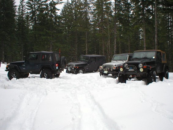 Four Jeep Wranglers parked in deep snow with pine trees in the background