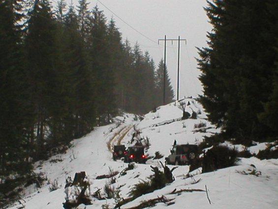 Three dark-colored Jeeps drive on a snow-covered dirt road through a forest with power lines overhead