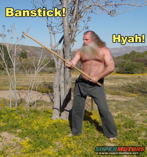 banstick_lg.jpg 