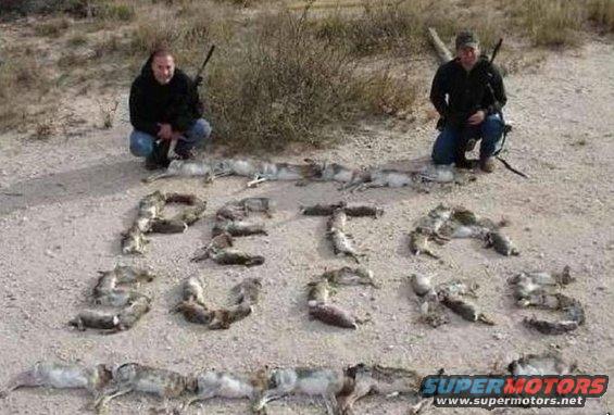 Two men kneel in a dirt field with rifles; dead rabbits are arranged on the ground to spell 'PETAS SUCKS'