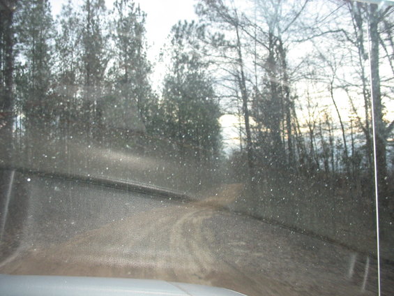 View of a dirt road winding through a forest, seen from inside a vehicle