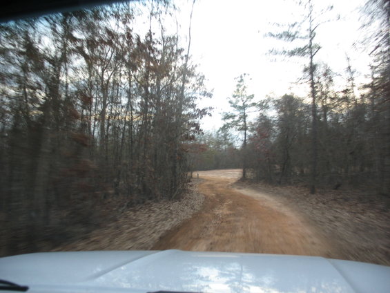 Interior view of a white vehicle driving on a dirt road through a forest with bare trees