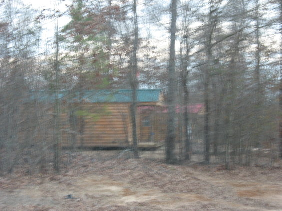 Log cabin with a teal roof seen through trees