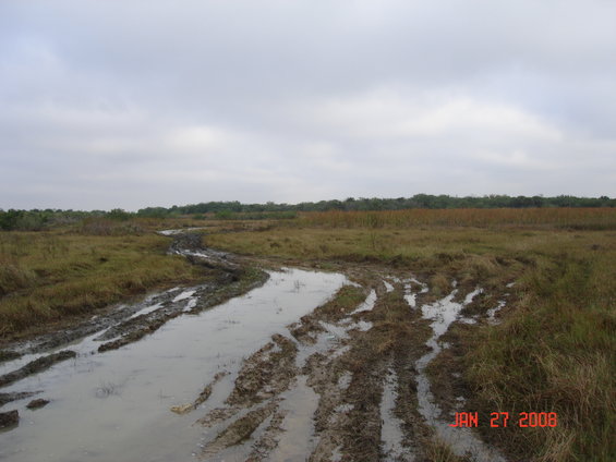 dsc04450.jpg