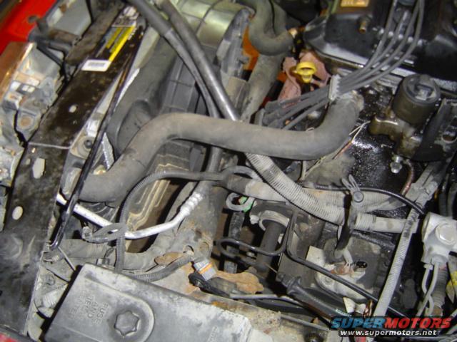 Engine bay with hoses, wires, and engine components. A fuse box is visible