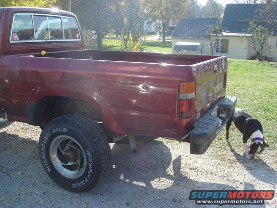 Maroon pickup truck, rear view, with a dog sniffing near the bumper
