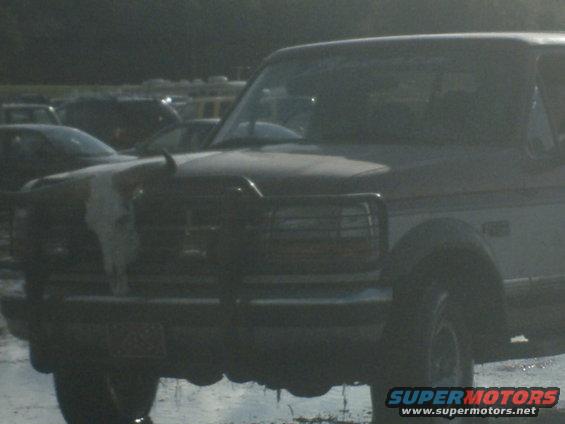 broncoandskull.jpg its blurry