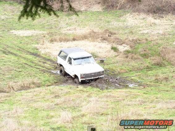 Out playn around and foud a mini pond.