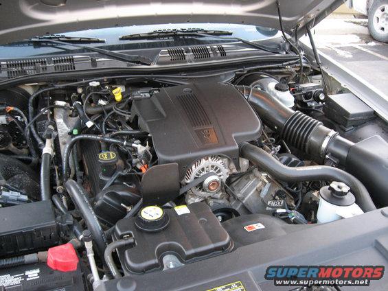 2004 Ford Crown Victoria engine bay with V8 engine, air intake, and coolant reservoir visible