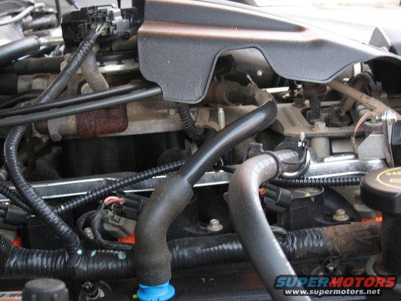 engine bay with hoses and wiring
