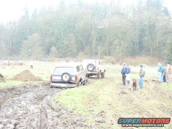 Bronco pulln Bronco