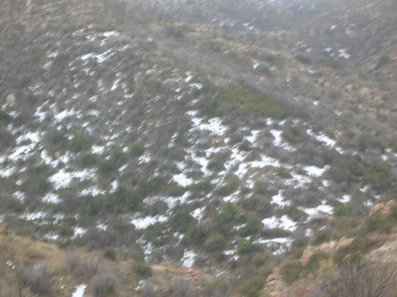dscn2347.jpg 