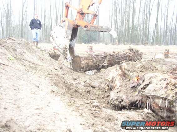 Log movn