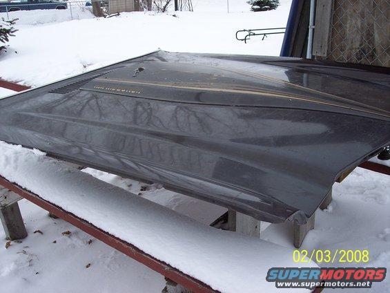 Car hood with gold stripes and vents, sitting outside in the snow