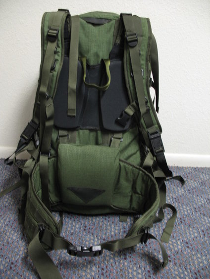 Back view of a green backpack with straps and buckles