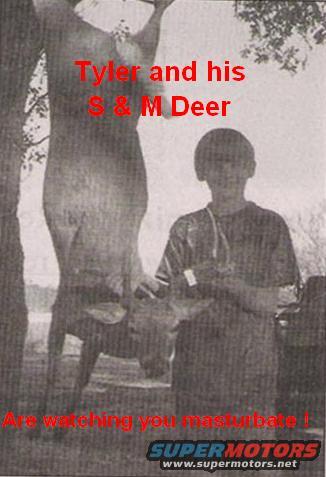 Deer hanging from a tree next to a person