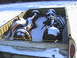 DSC00018.JPG