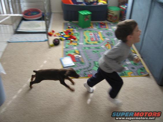 sienna-7-weeks-10lb-6oz-006.jpg 