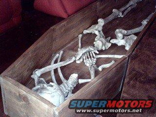 coffin.jpg The vamps bed