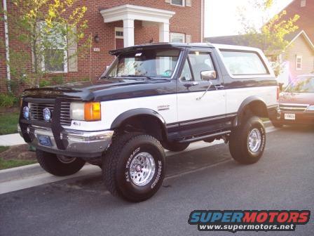 100_0454.jpg What a beautiful Bronco I am