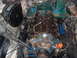 1978 Ford Bronco - Close-up view of an engine bay, showing the engine block and surrounding components.