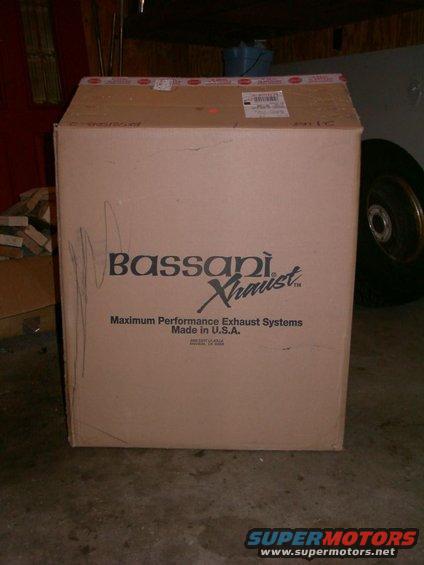 bassani.jpg 