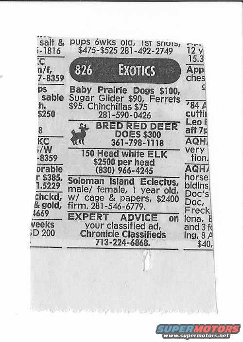 Newspaper classified ad with listings for pets and other items