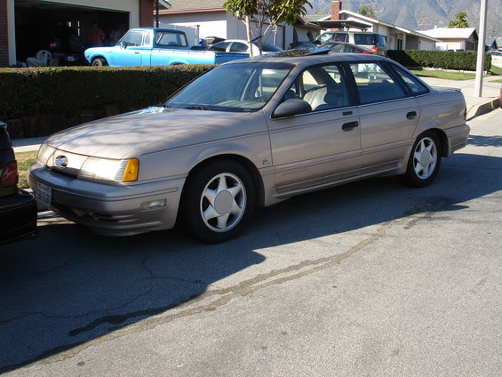 dsc09902.jpg 