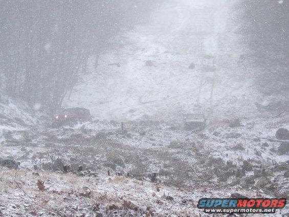 Two vehicles partially visible on a snowy, wooded hillside during a snowstorm