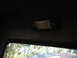 1949 Chevrolet C/K Pickup - The interior dome light is visible above the rear window, with trees seen through the glass.