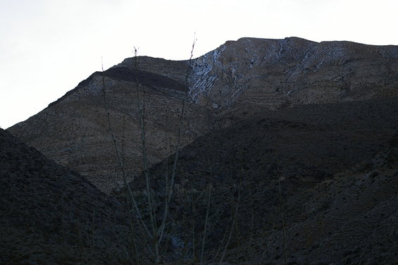 Mountains with snow patches and dry, bare branches in the foreground against a bright sky
